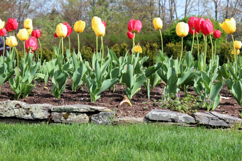 Stone Edging Installation in West Hartford, CT