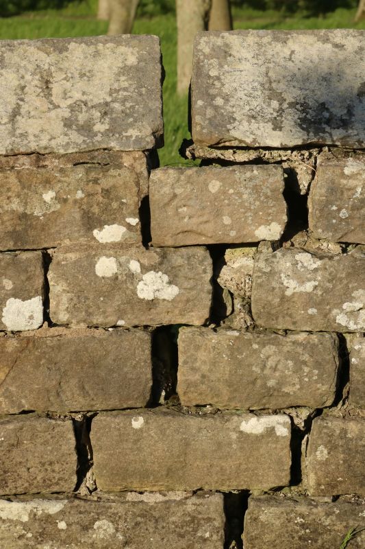 Stone Wall Repair in West Hartford, CT